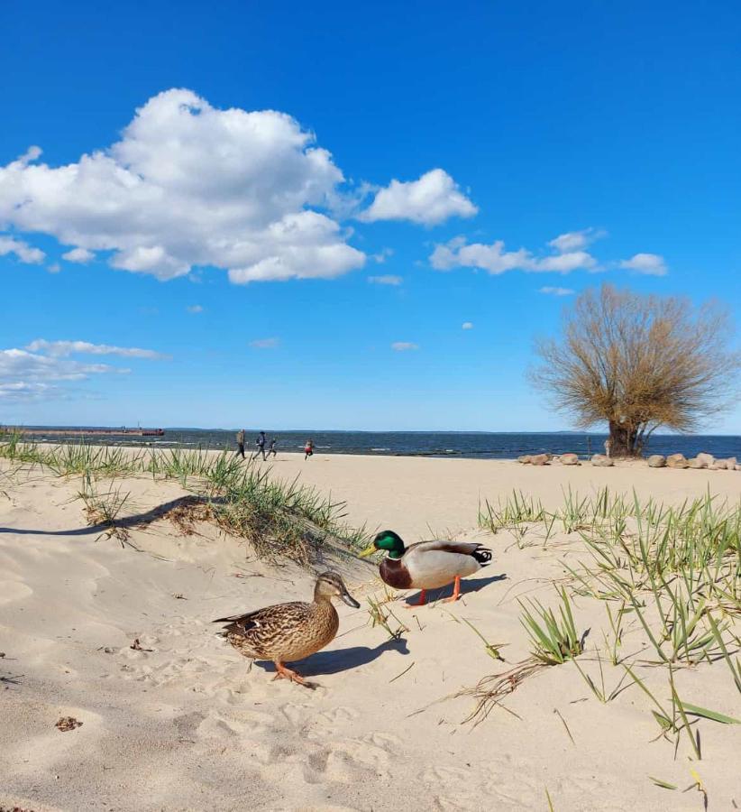 Ferienwohnung Ab Zum Haff Ueckermünde Esterno foto