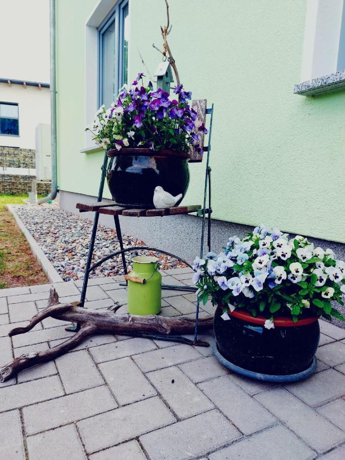 Ferienwohnung Ab Zum Haff Ueckermünde Esterno foto