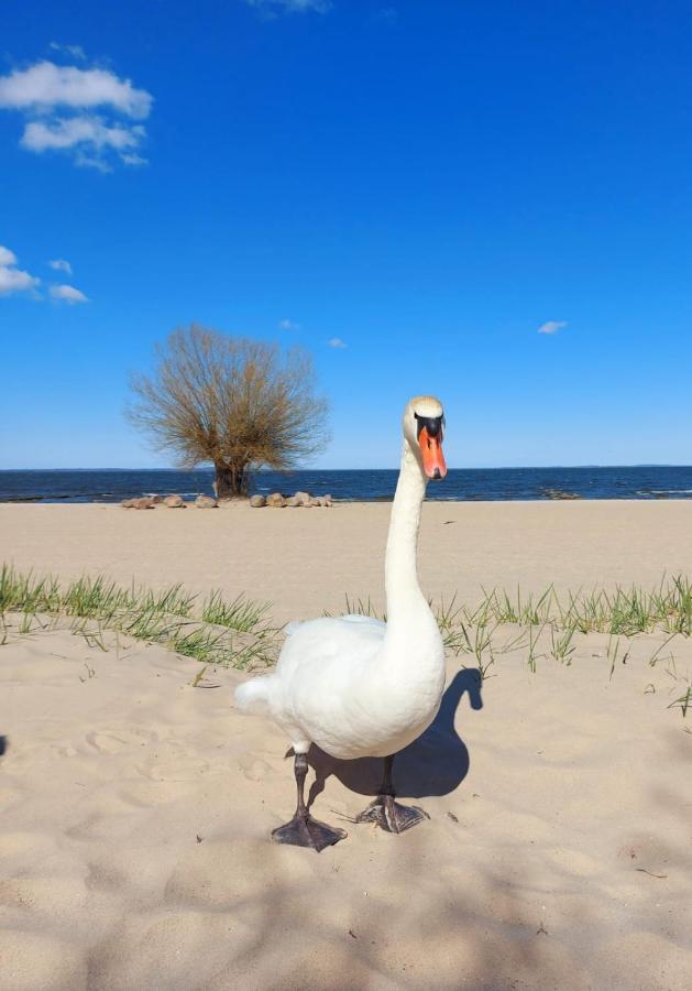 Ferienwohnung Ab Zum Haff Ueckermünde Esterno foto