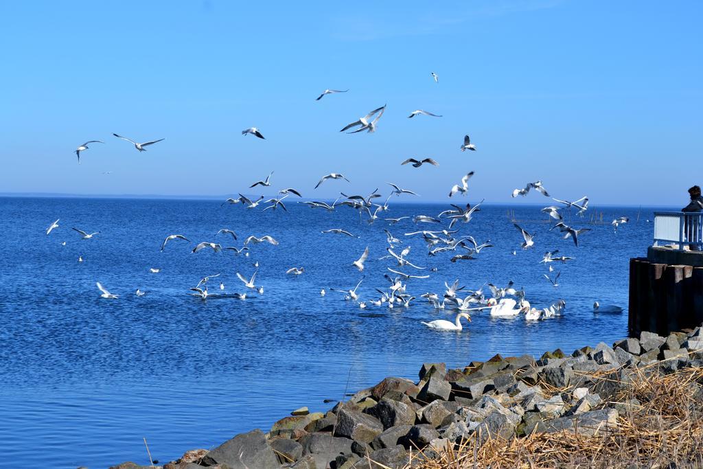 Ferienwohnung Ab Zum Haff Ueckermünde Camera foto